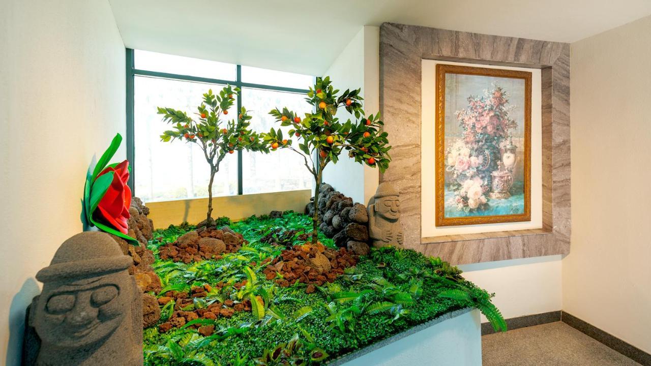 Sea Cliff Hotel Jeju Dış mekan fotoğraf