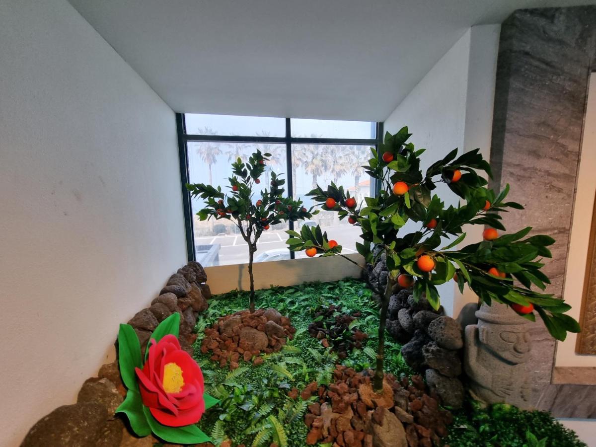 Sea Cliff Hotel Jeju Dış mekan fotoğraf